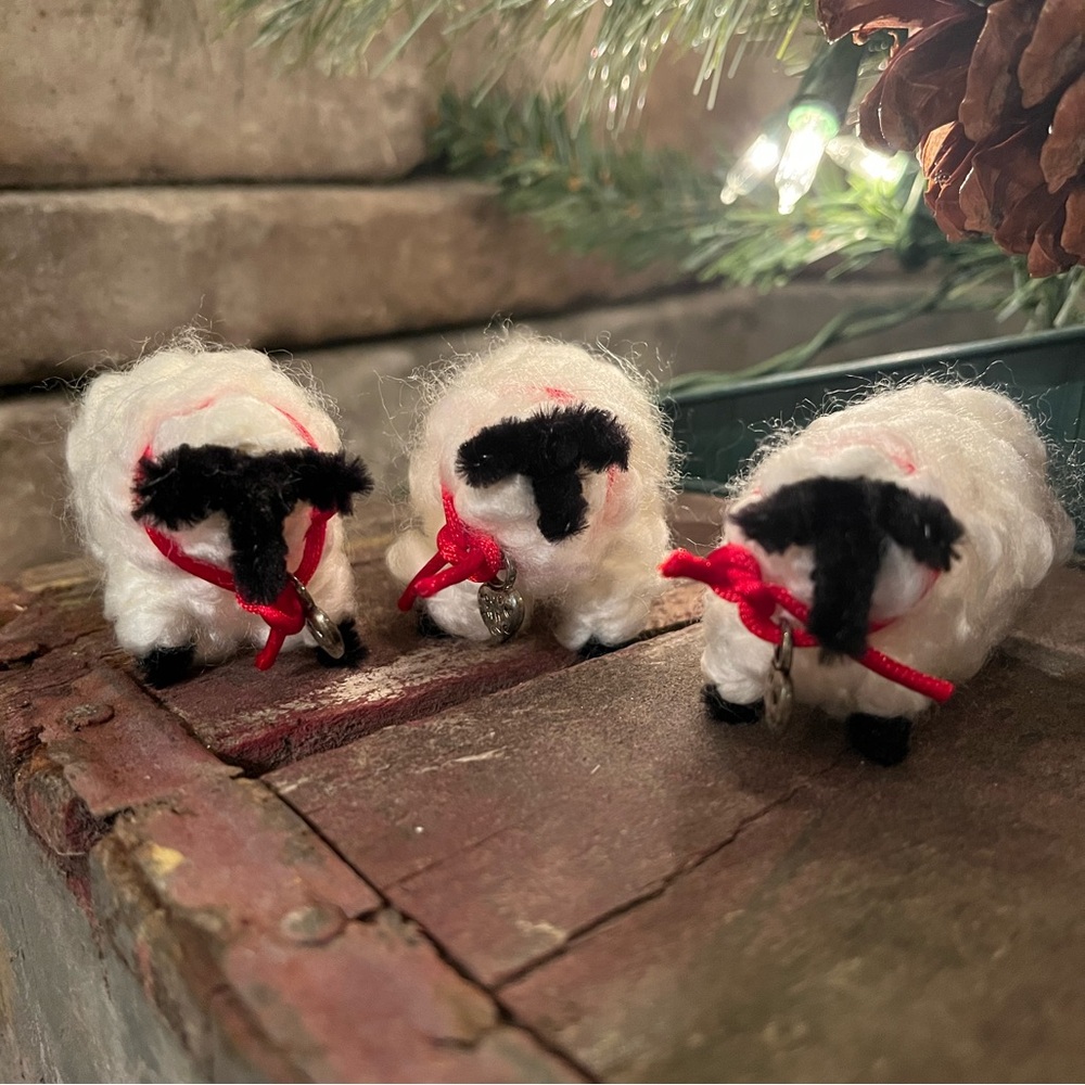 Set of 3 “Woolies”